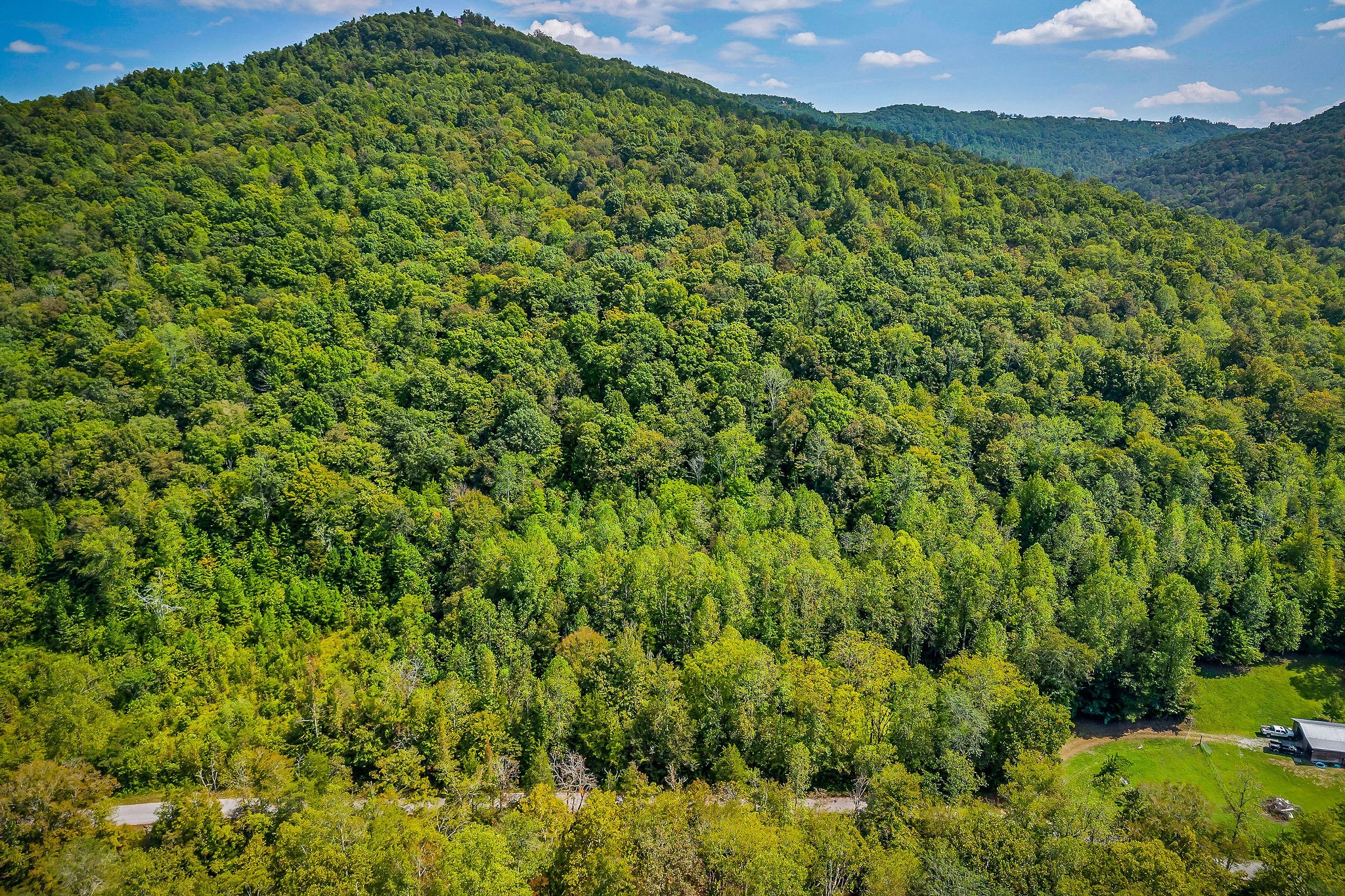 461 Shiloh Road Crawford, TN 38554 - Photo 3 of 15 a view of a big yard with plants and a mountain view
