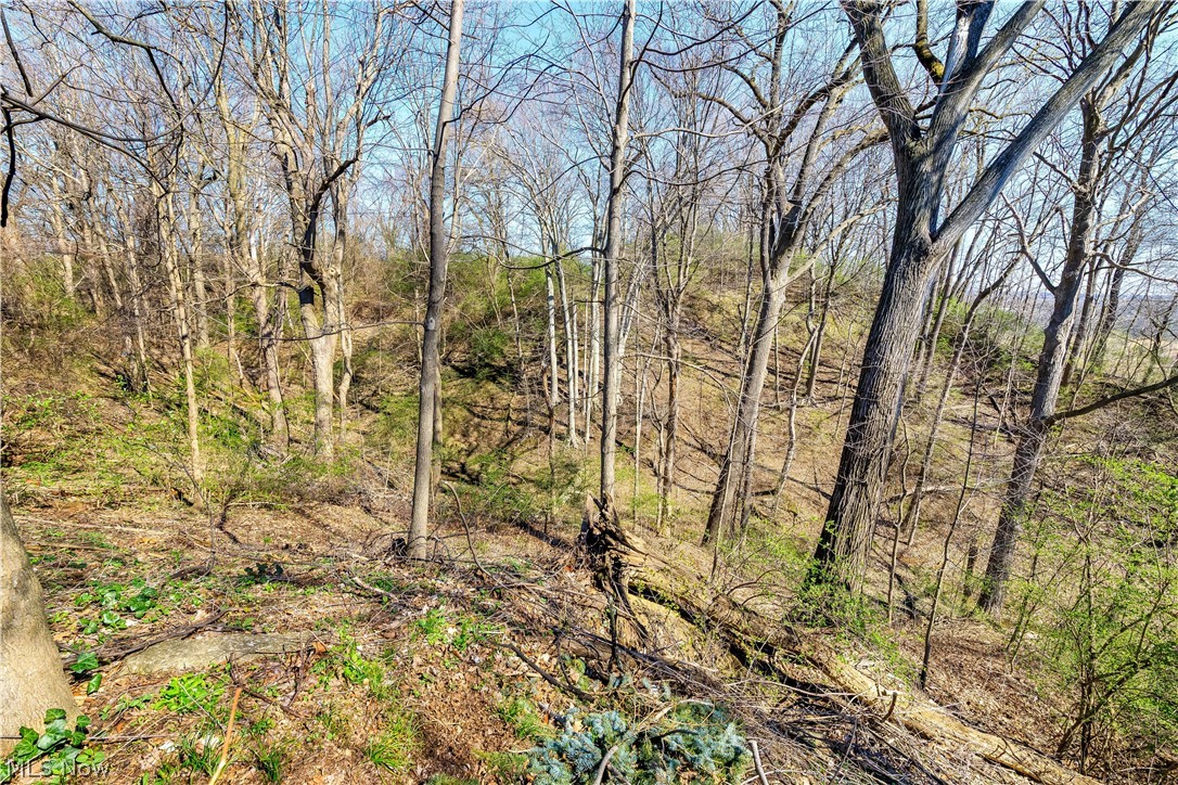 924 East Schaaf Road Brooklyn Heights, OH 44131 - Photo 32 of 34