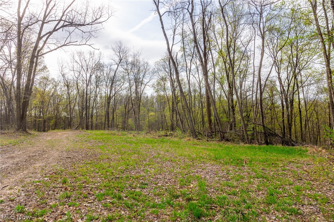 2115 Goss Fork Road, Unit 1 Whipple, OH 45788 - Photo 26 of 38