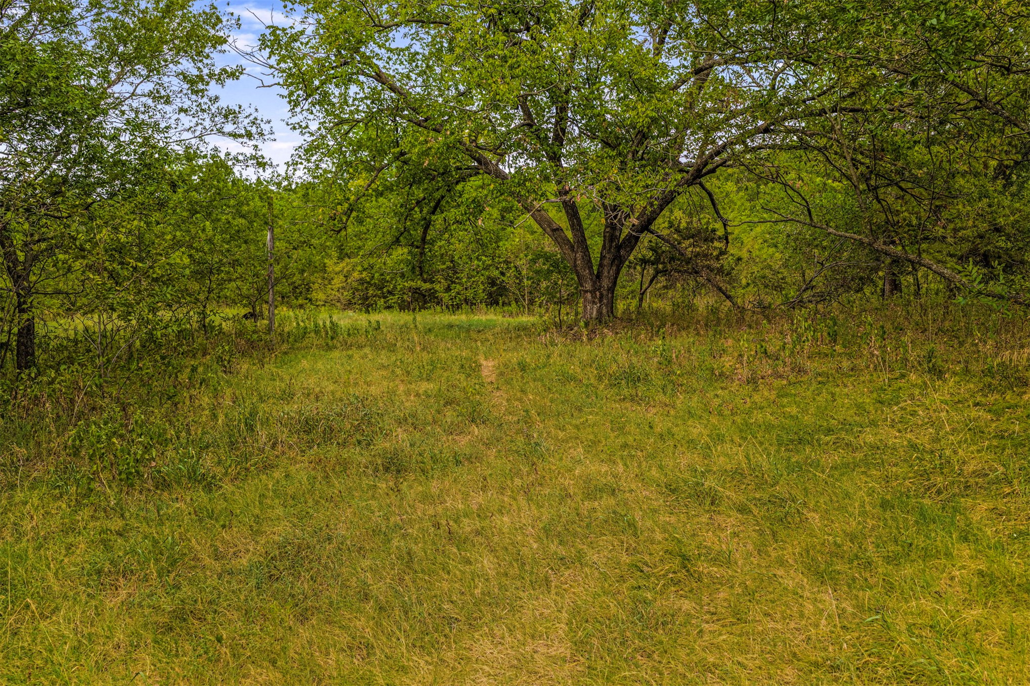 King Road Claremore, OK 74019 - Photo 33 of 45 Expansive natural grounds featuring mature trees and lush green foliage