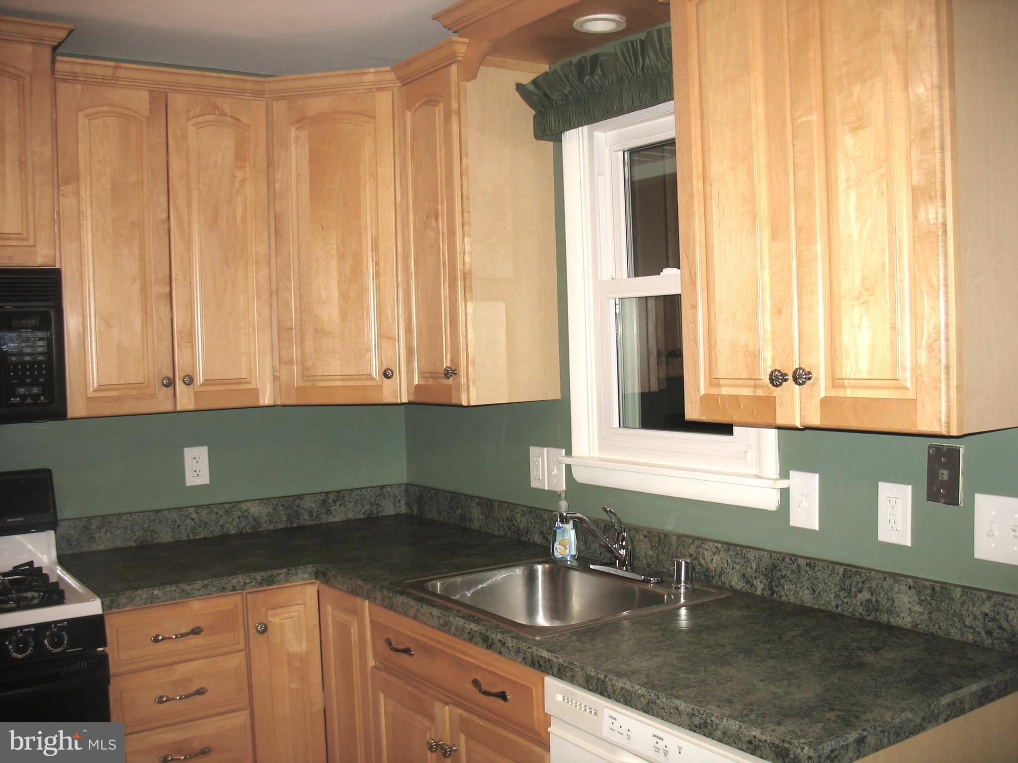 1605 Myamby Road Baltimore, MD 21286 - Photo 31 of 51 Kitchen