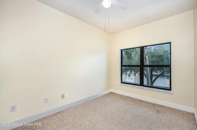 a view of a yard with plants