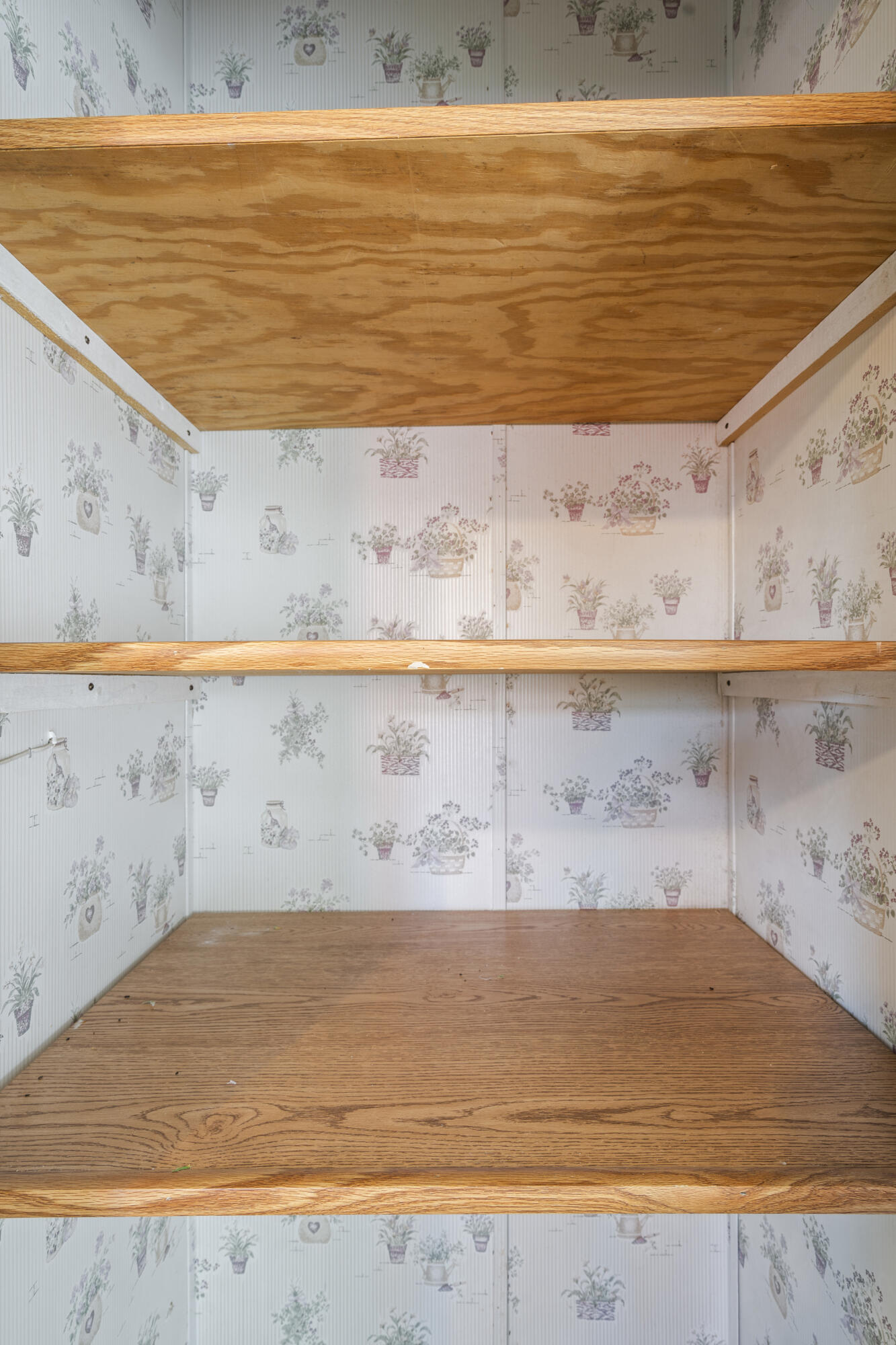 176 Dixon Road Ocoee, TN 37361 - Photo 32 of 54 32_dsc07909