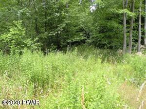 6 Howe Mtn Road Moscow, PA 18444 - Photo 1 of 1