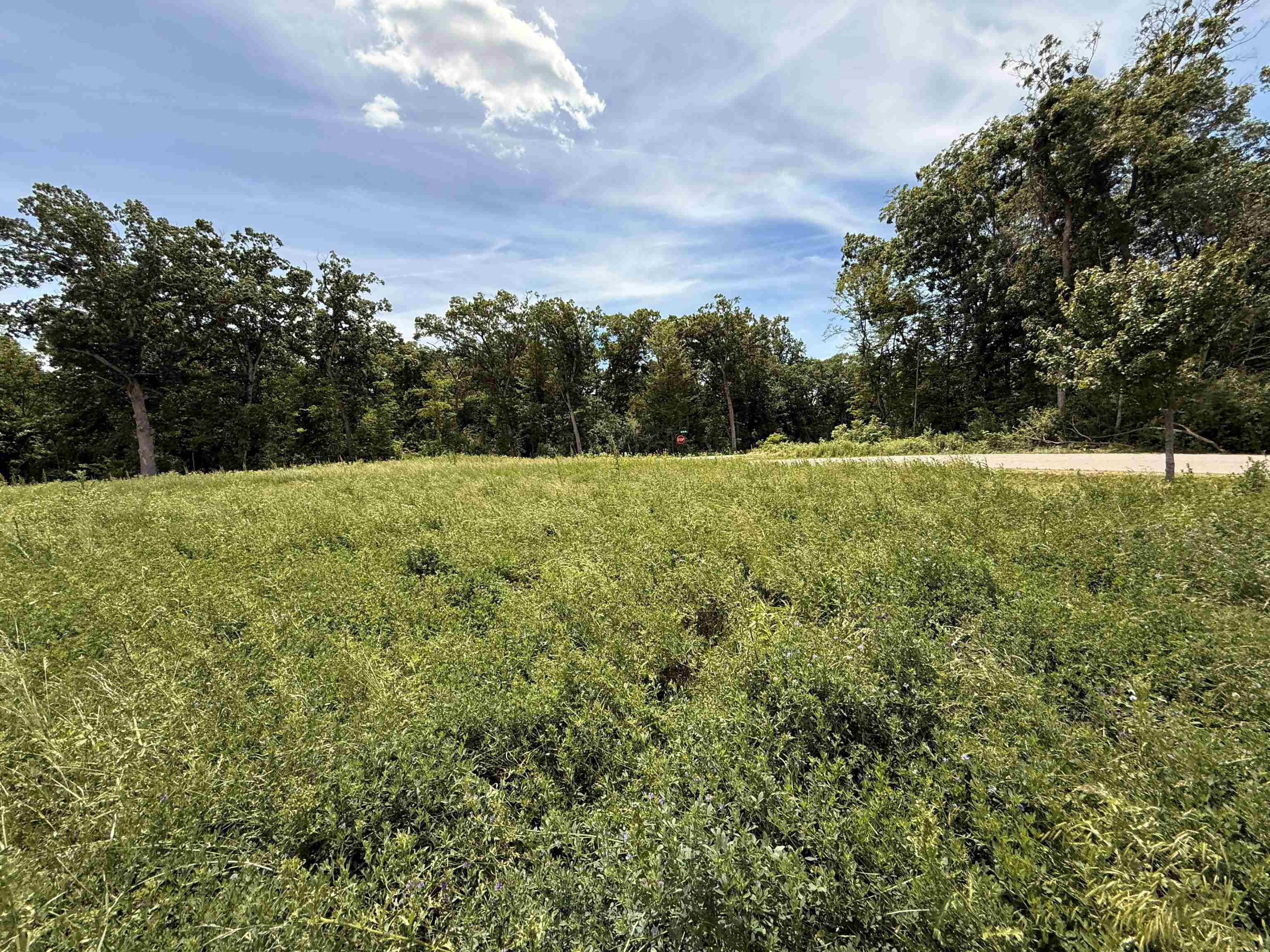 Lot 13 Lakestone Merrimac, WI 53561 - Photo 4 of 42
