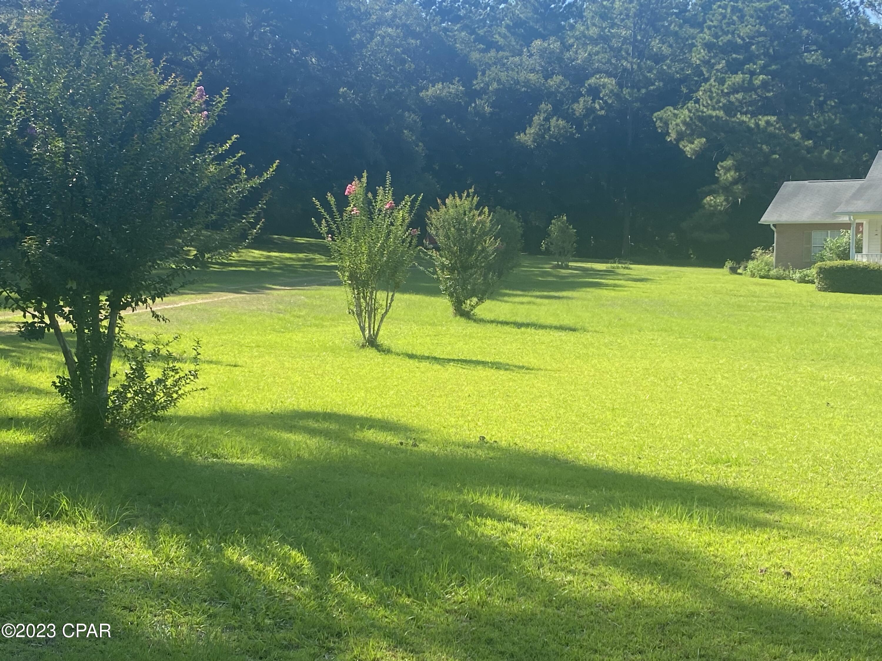 2822 River Road Vernon, FL 32462 - Photo 2 of 44