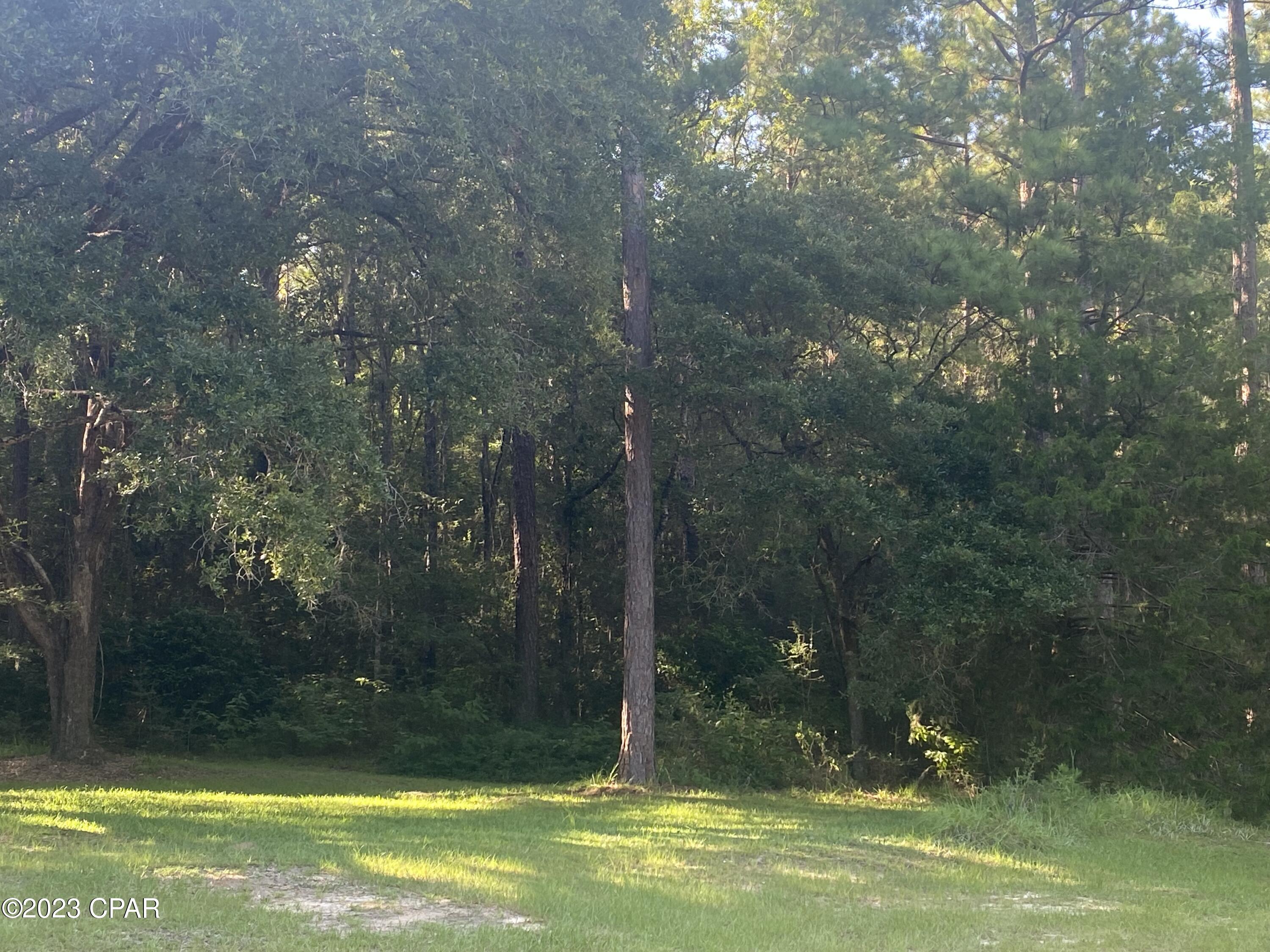 2822 River Road Vernon, FL 32462 - Photo 8 of 44