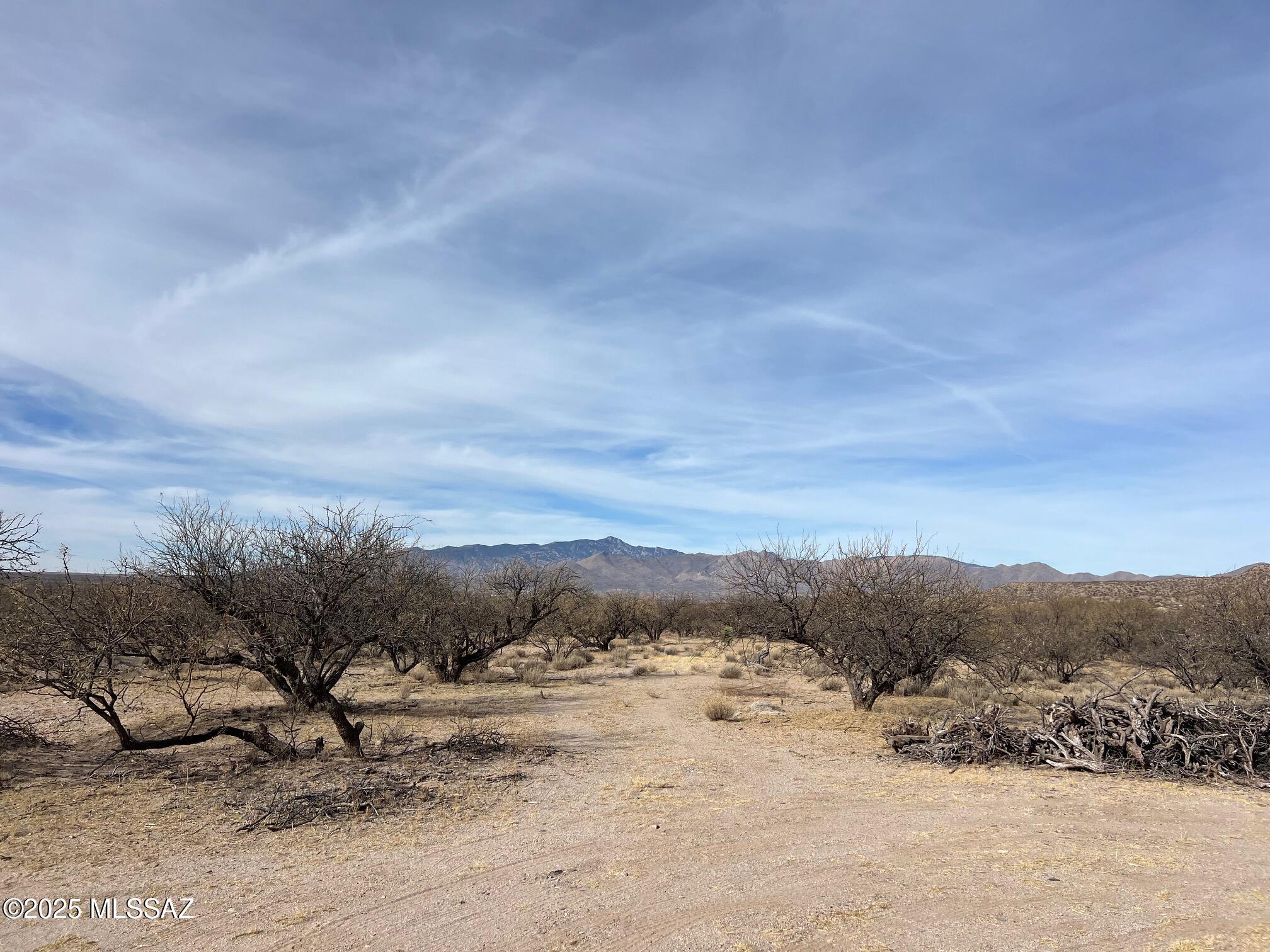 5.29-ac North Cascabel Road Benson, AZ 85602 - Photo 9 of 17