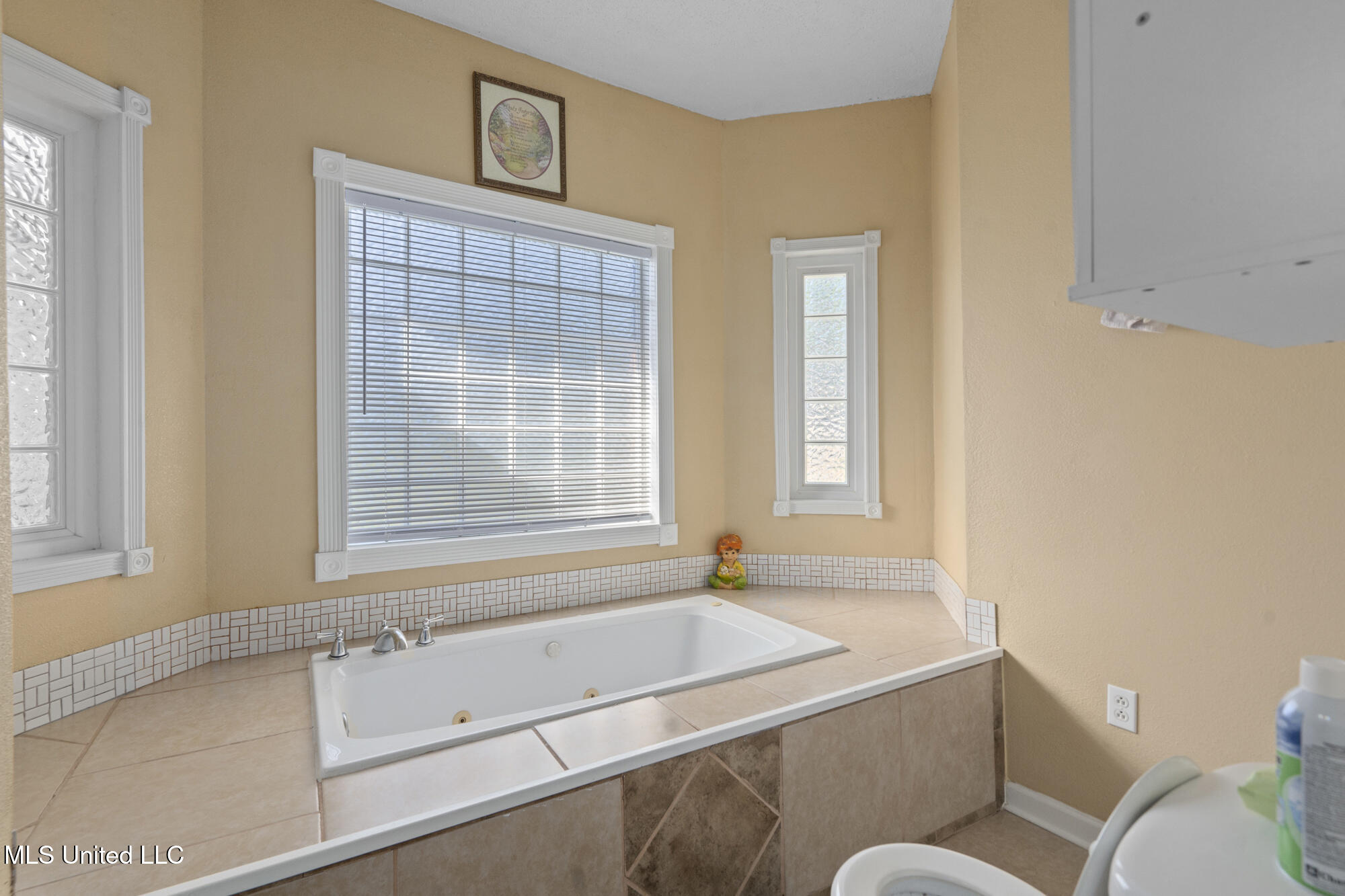 4700 Thompson Street Moss Point, MS 39563 - Photo 28 of 29 Bathroom #2