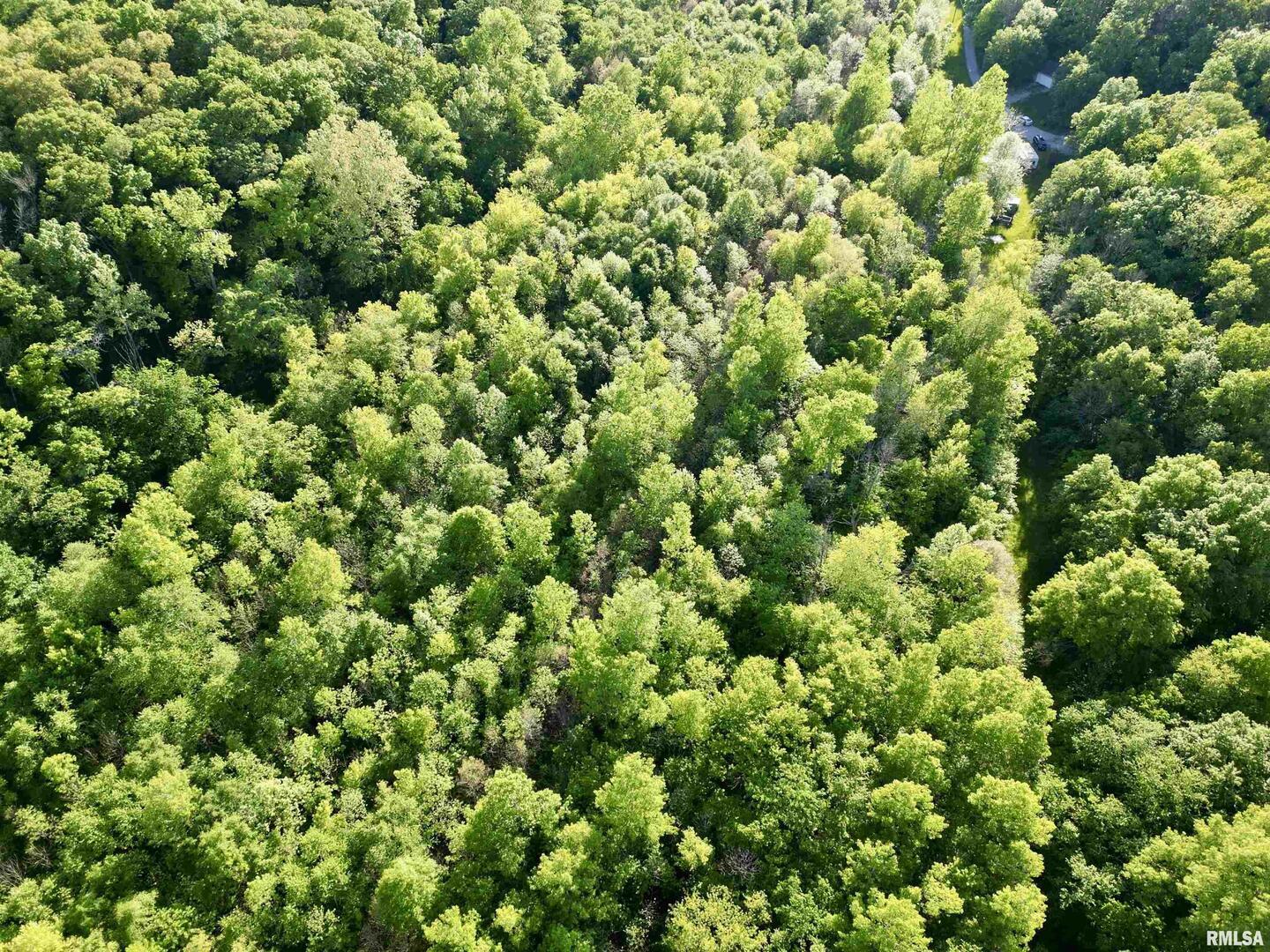 7544 Geranium Road Oakdale, IL 62268 - Photo 21 of 32