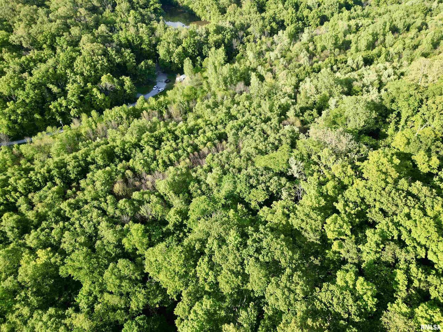 7544 Geranium Road Oakdale, IL 62268 - Photo 22 of 32