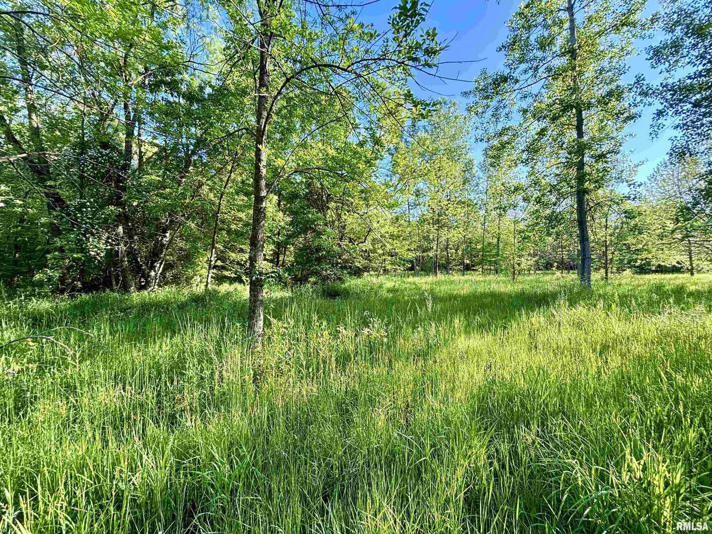 7544 Geranium Road Oakdale, IL 62268 - Photo 23 of 32