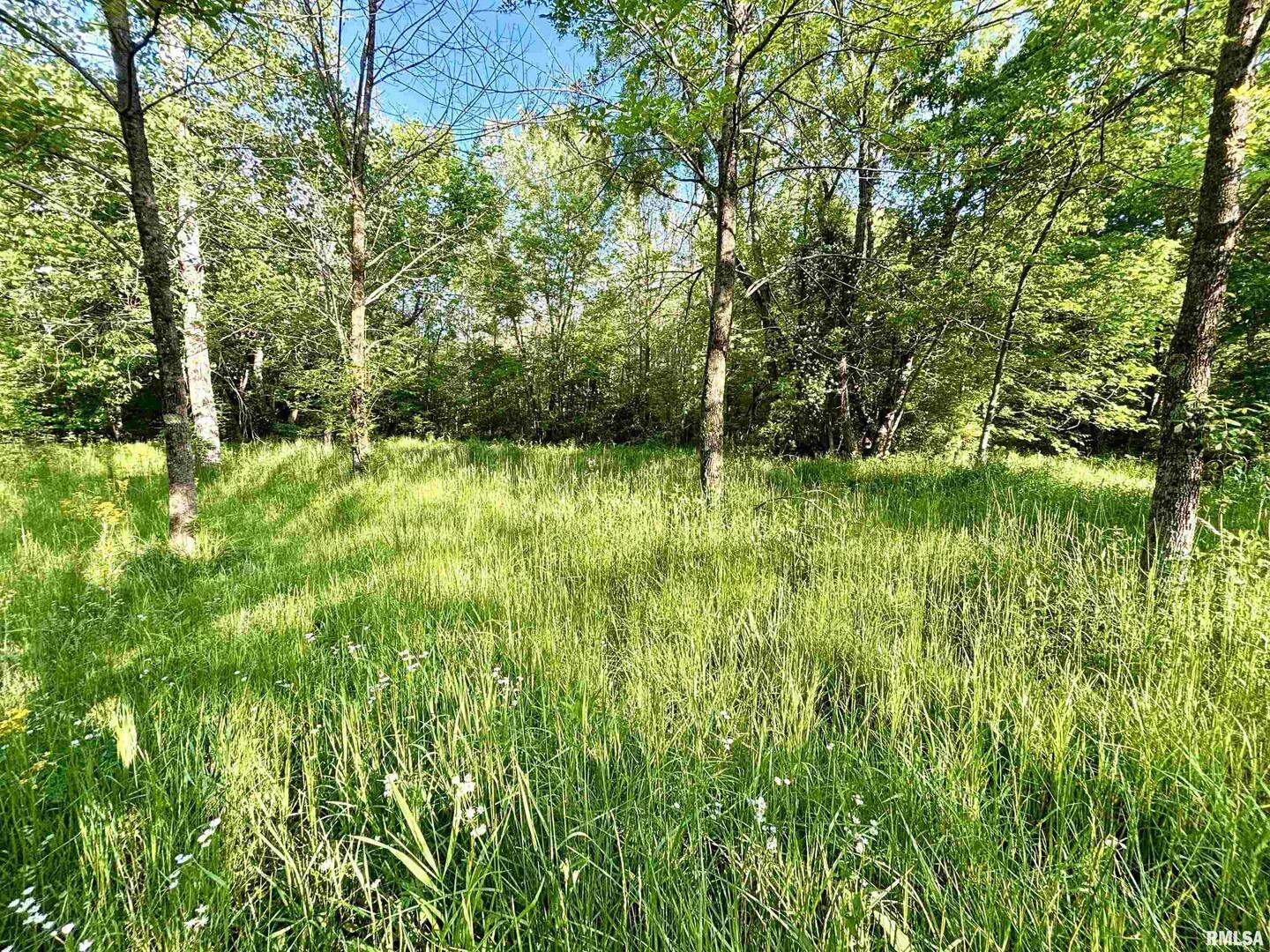 7544 Geranium Road Oakdale, IL 62268 - Photo 24 of 32