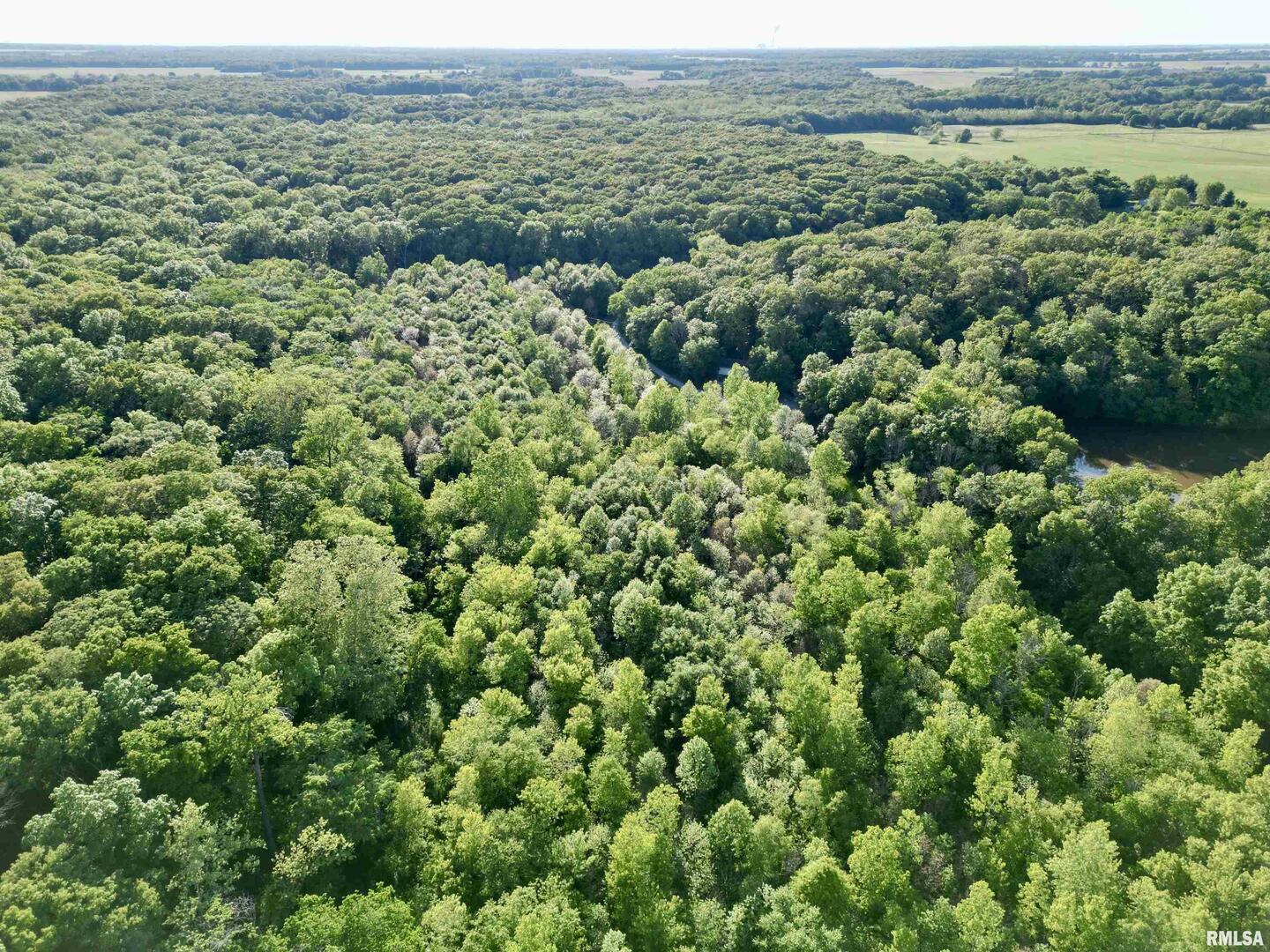 7544 Geranium Road Oakdale, IL 62268 - Photo 26 of 32
