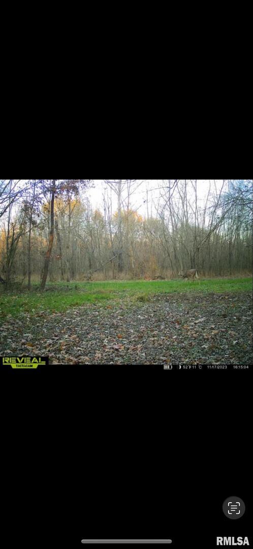 7544 Geranium Road Oakdale, IL 62268 - Photo 28 of 32