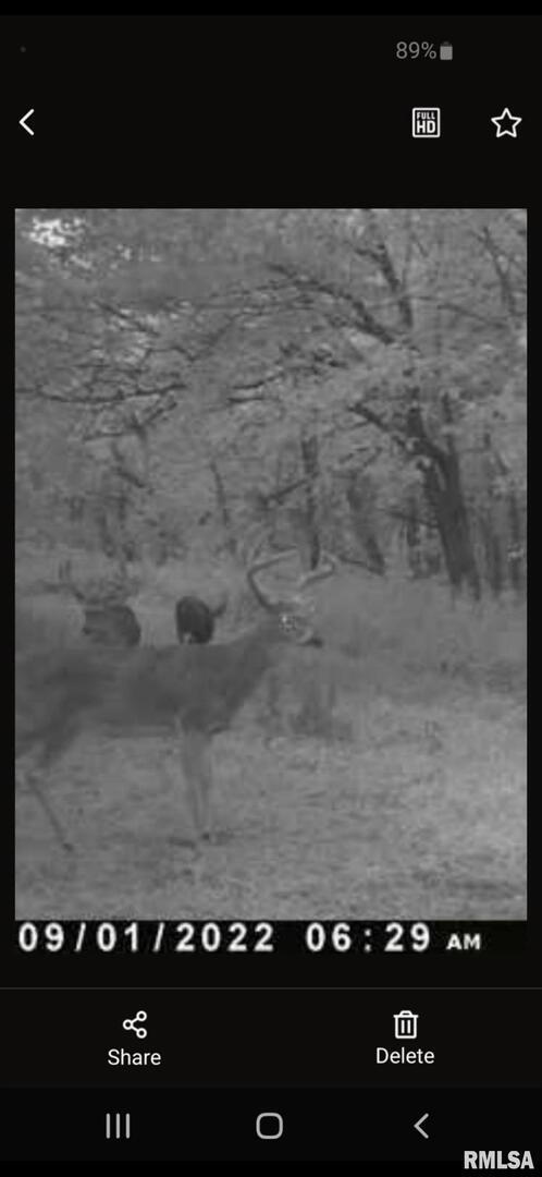 7544 Geranium Road Oakdale, IL 62268 - Photo 30 of 32