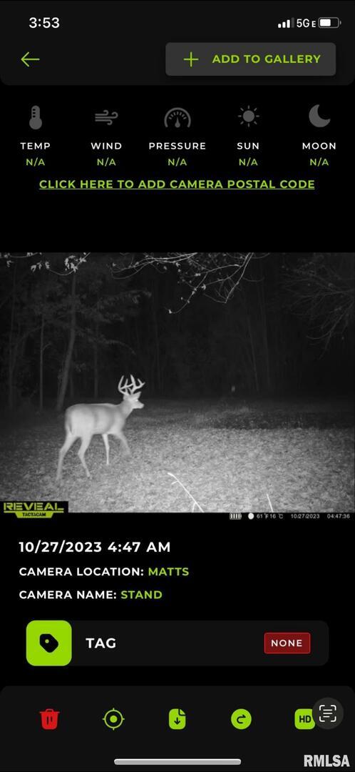 7544 Geranium Road Oakdale, IL 62268 - Photo 31 of 32