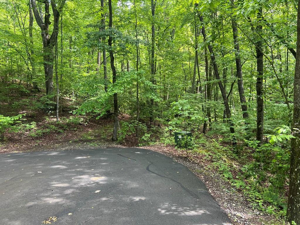 Lot 35 Mission Ridge Hayesville, NC 28904 - Photo 11 of 15