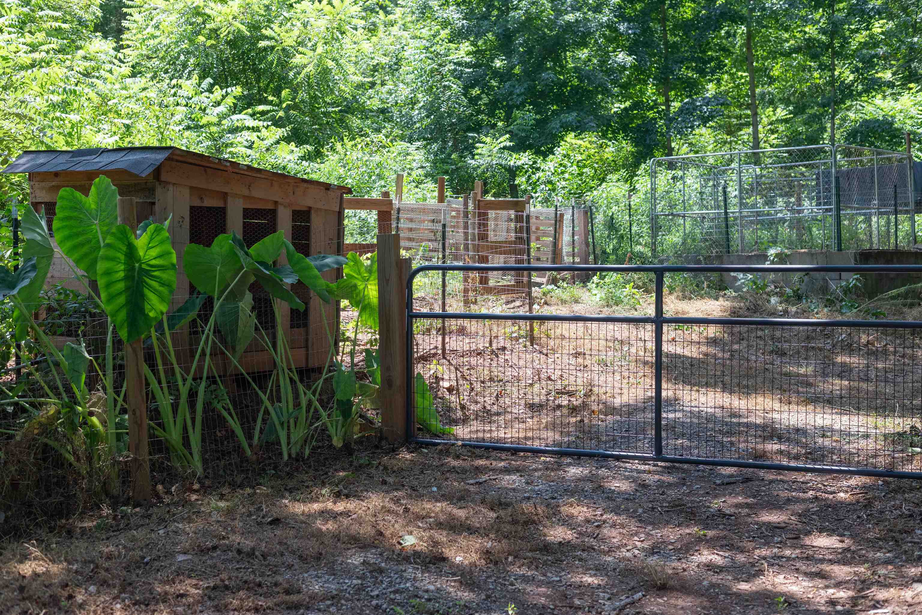 219 State Rd S-11-233 Gaffney, SC 29340 - Photo 35 of 36 Gallery Image 35