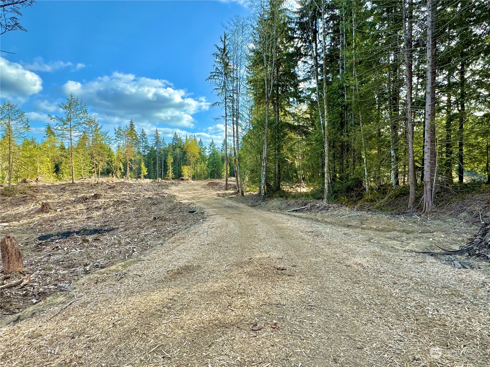 4400 Beauty Lake Road Southwest Port Orchard, WA 98367 - Photo 24 of 37 Gallery Image 24