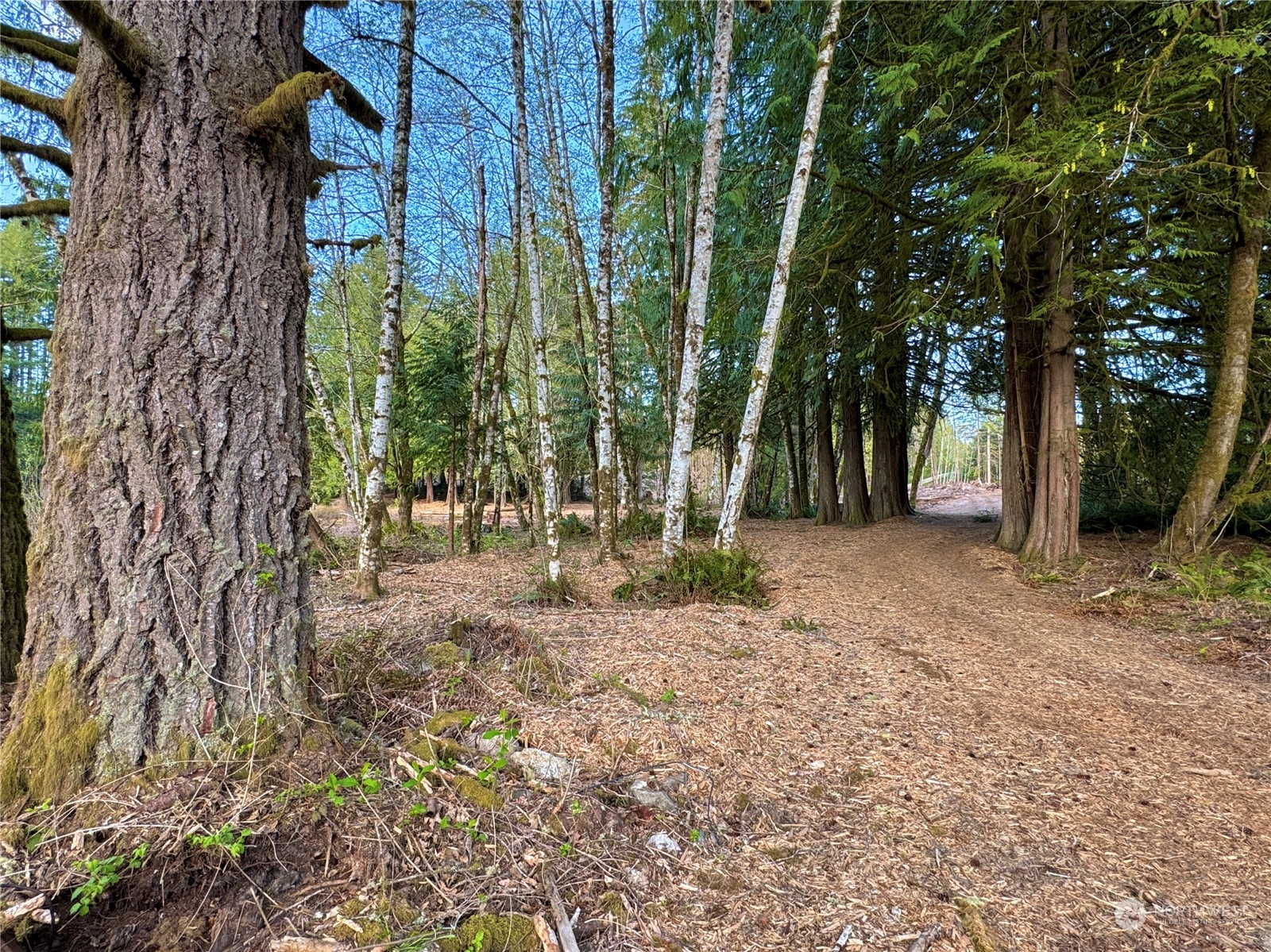 4400 Beauty Lake Road Southwest Port Orchard, WA 98367 - Photo 29 of 37 Gallery Image 29