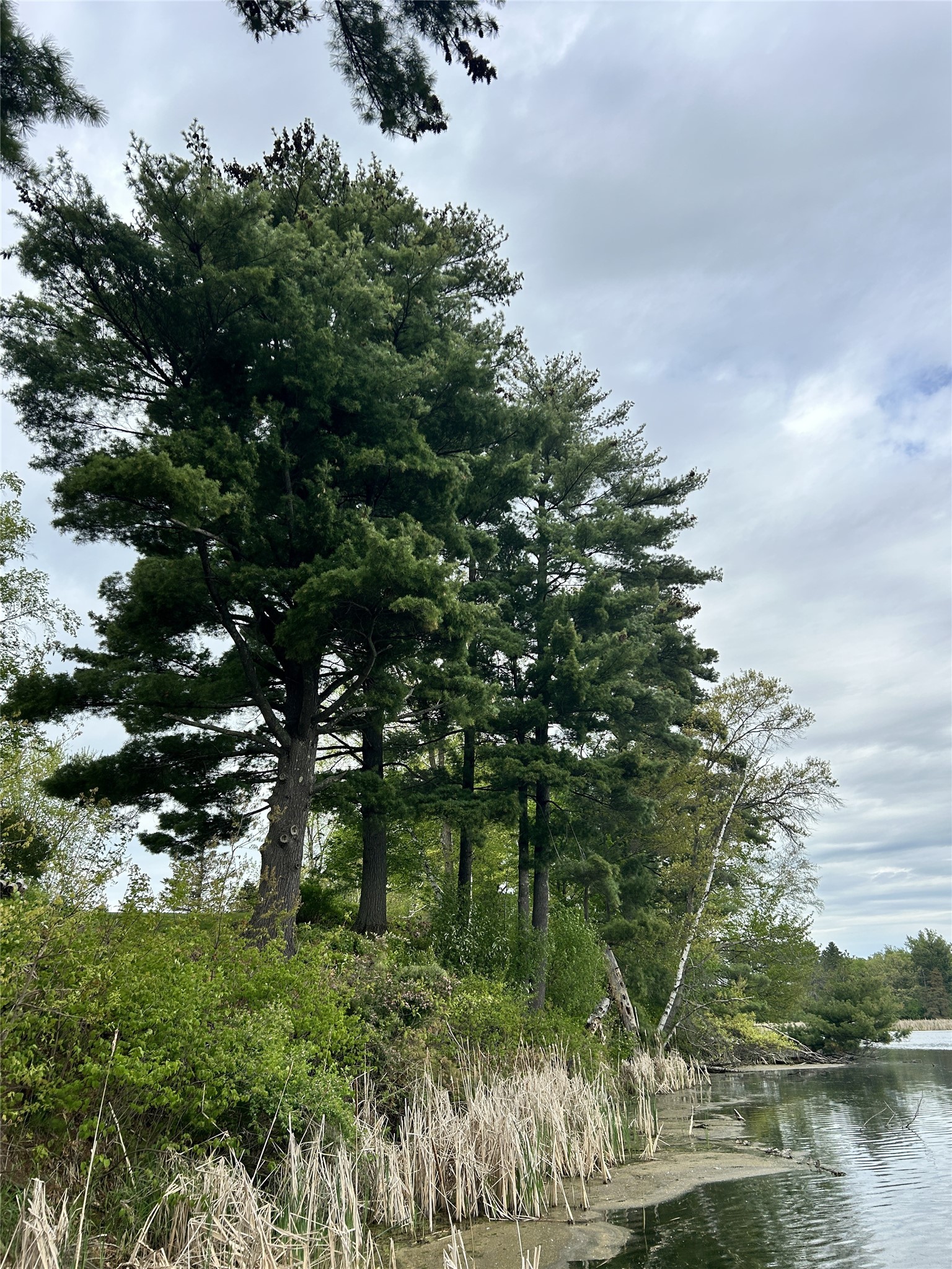 .65-acres 21st Street Rice Lake, WI 54868 - Photo 22 of 33