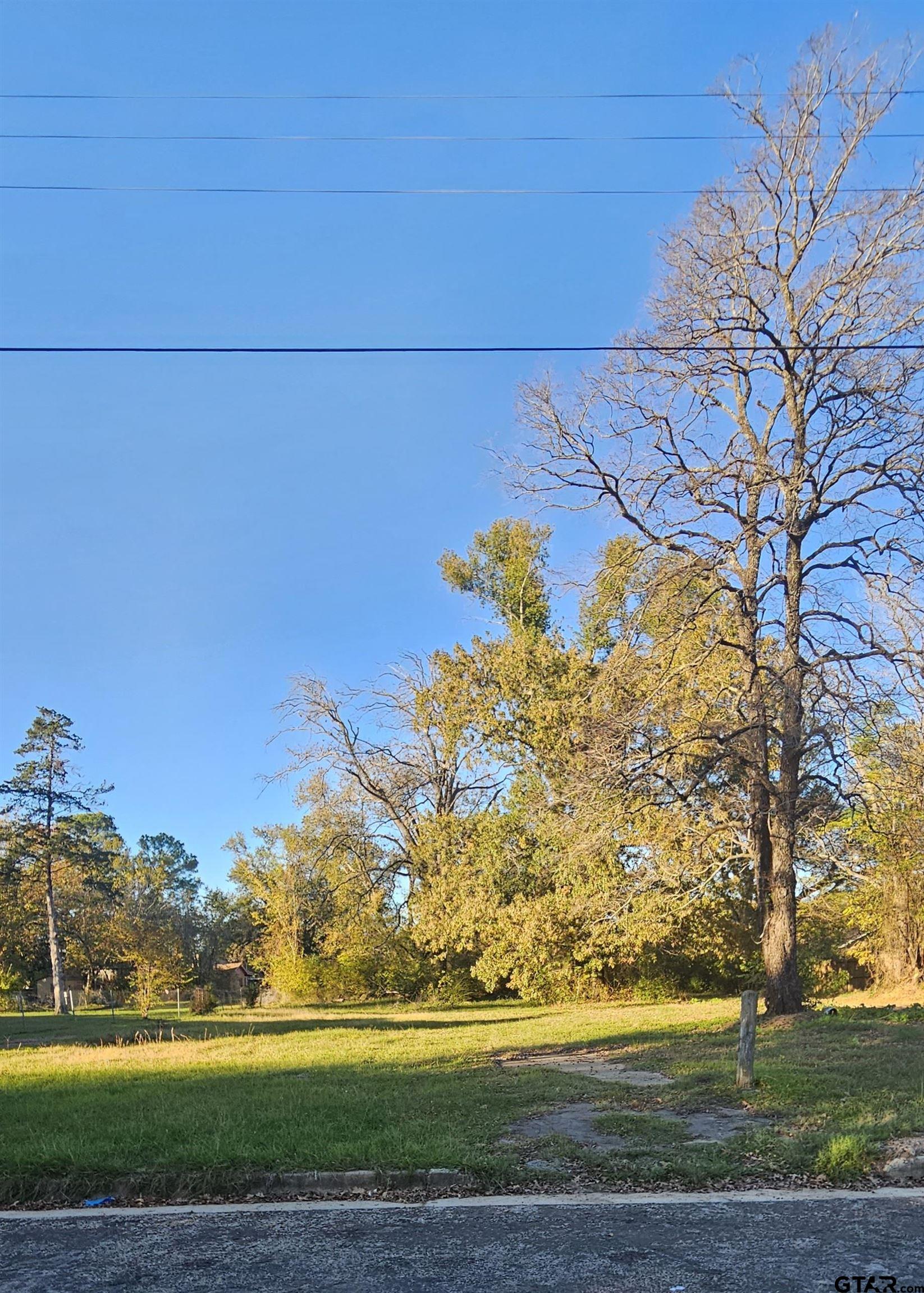 1307 West 33rd Street Tyler, TX 75702 - Photo 1 of 4 a view of a big yard