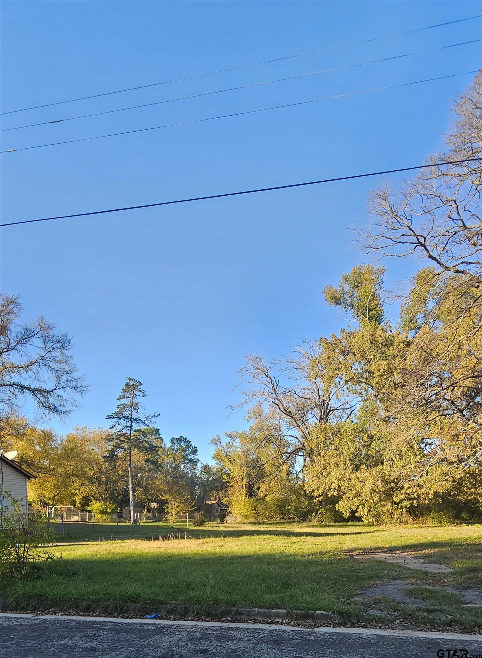 1307 West 33rd Street Tyler, TX 75702 - Photo 2 of 4 a view of a big yard