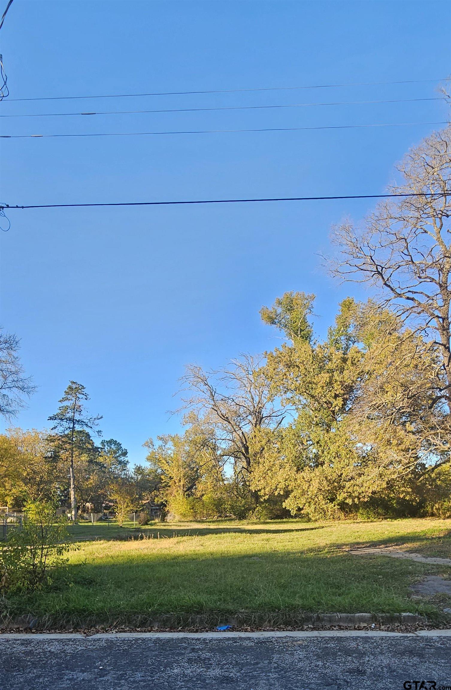 1307 West 33rd Street Tyler, TX 75702 - Photo 3 of 4 a view of a big yard