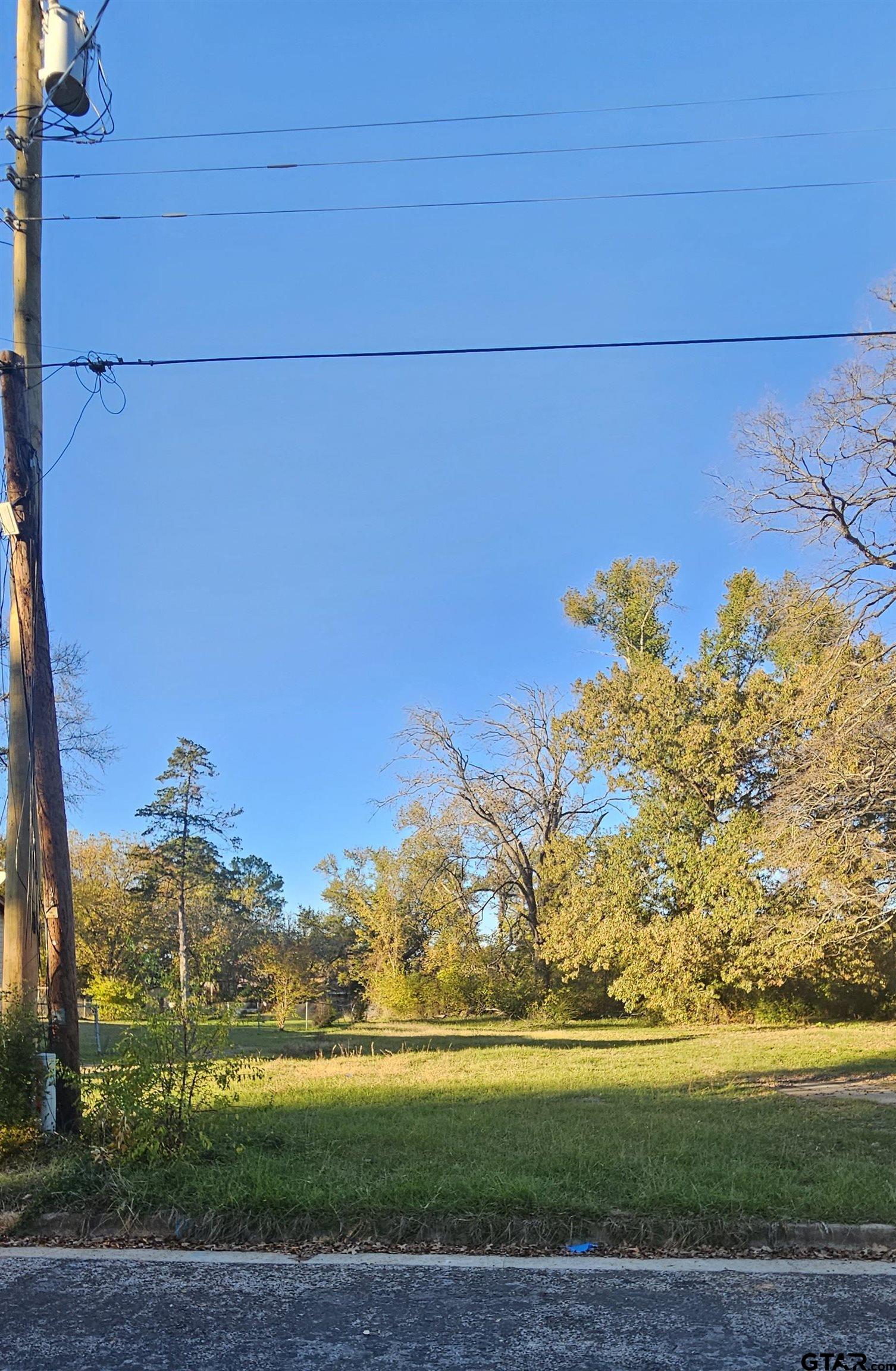1307 West 33rd Street Tyler, TX 75702 - Photo 4 of 4 a view of a big yard