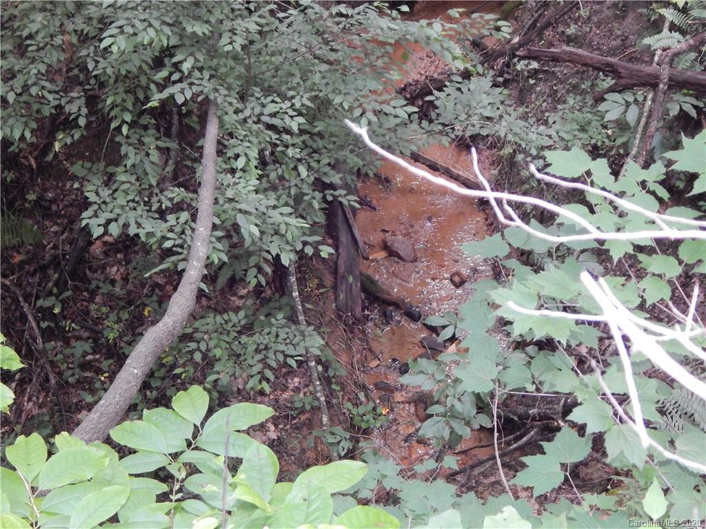 1936 Coopers Gap Road Rutherfordton, NC 28139 - Photo 32 of 32 a backyard of a house