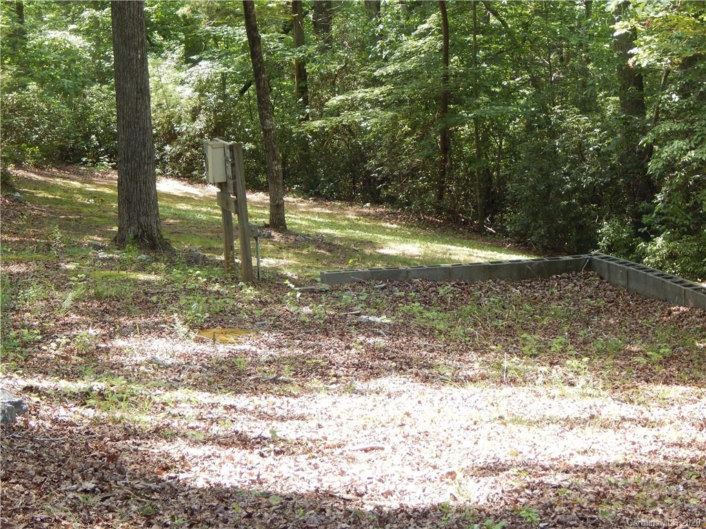 1936 Coopers Gap Road Rutherfordton, NC 28139 - Photo 6 of 32 a view of outdoor space with trees
