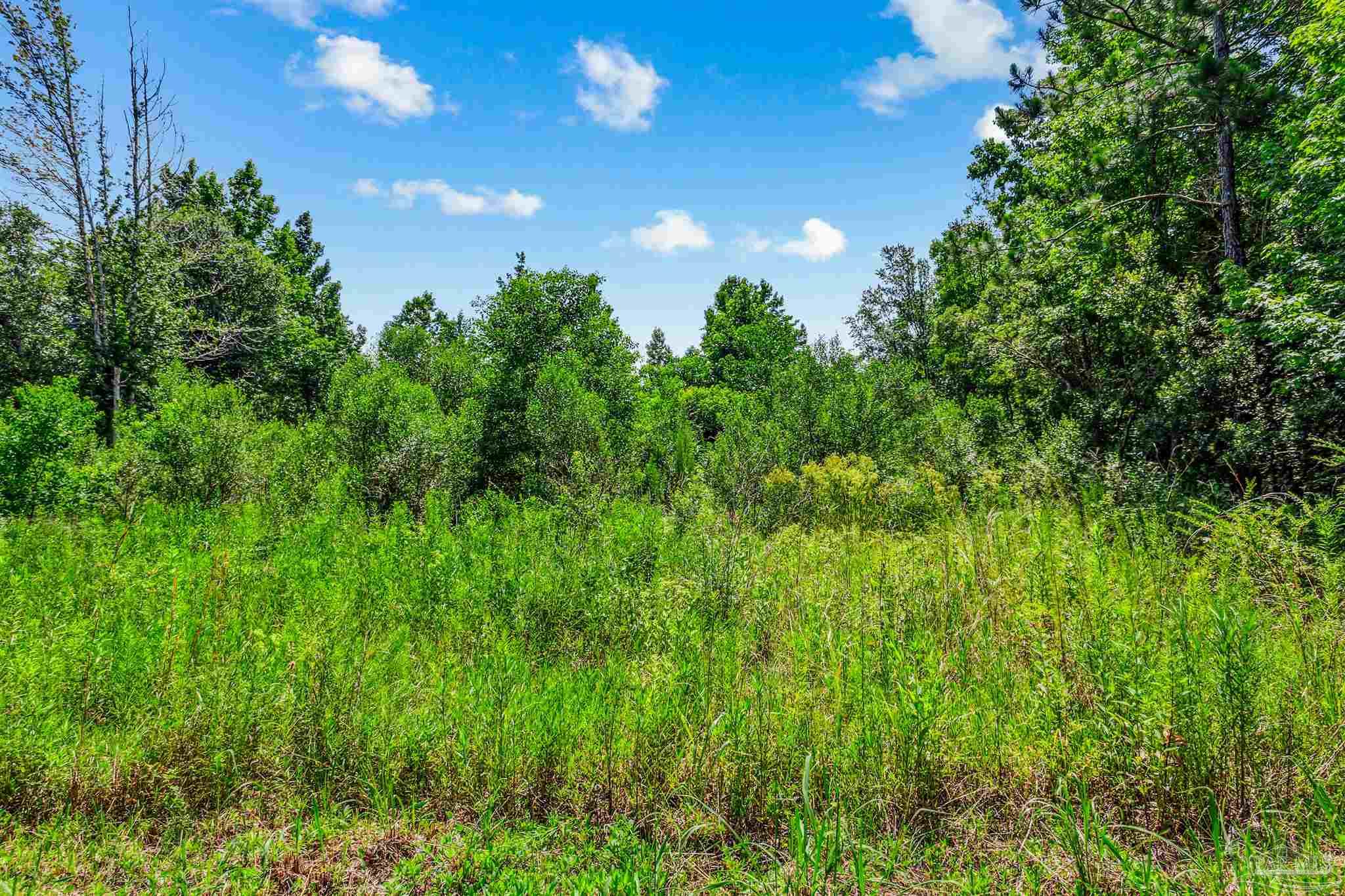0 Fox Quarry Road Cantonment, FL 32533 - Photo 2 of 15 Gallery Image 2