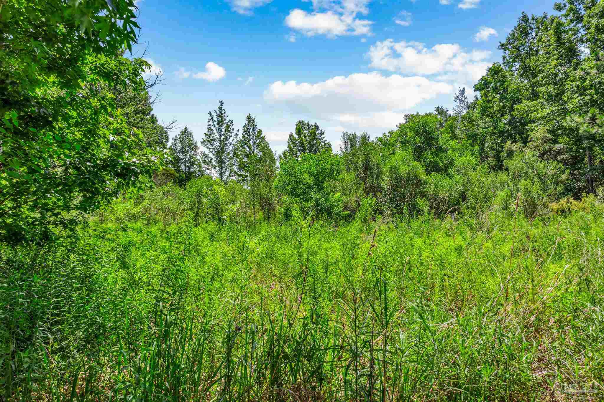0 Fox Quarry Road Cantonment, FL 32533 - Photo 3 of 15 Gallery Image 3