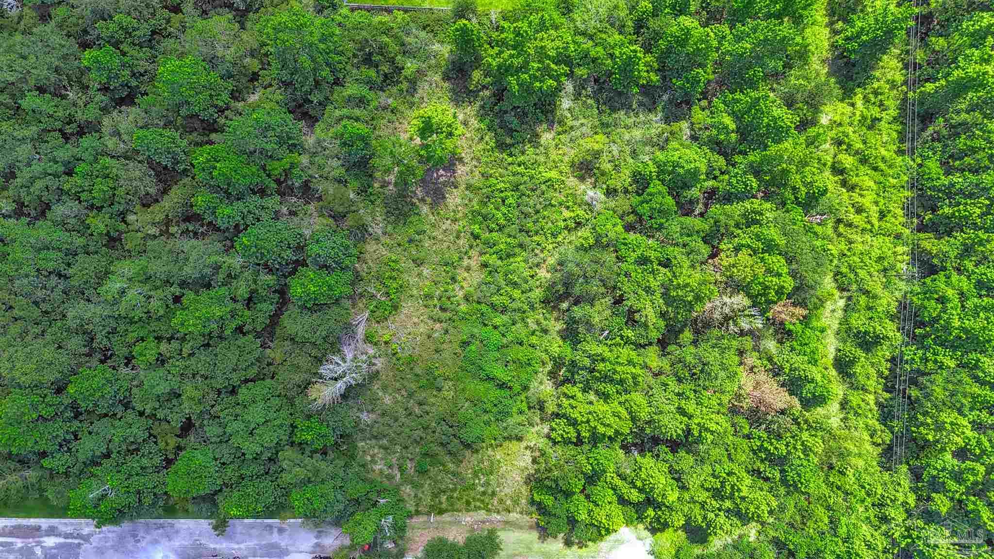 0 Fox Quarry Road Cantonment, FL 32533 - Photo 10 of 15 Gallery Image 10