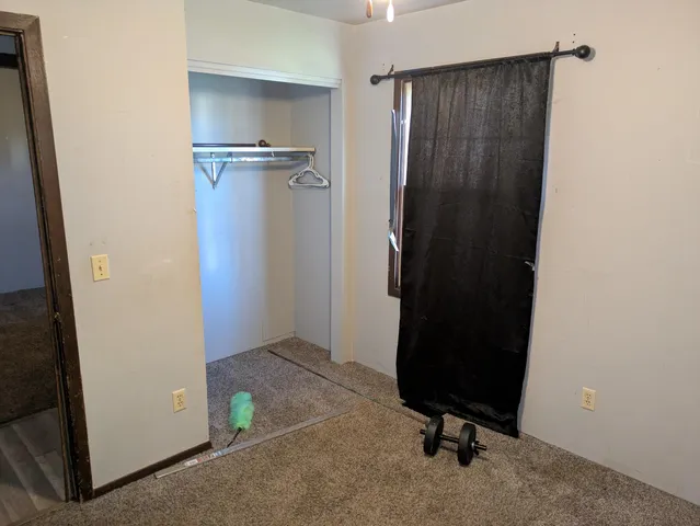 a view of a backyard with plants and a large tree