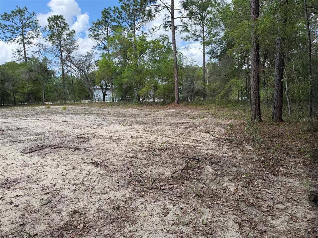 105 Race Street Hawthorne, FL 32640 - Photo 3 of 17