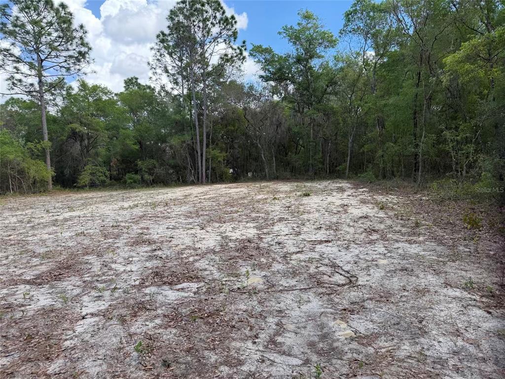 105 Race Street Hawthorne, FL 32640 - Photo 4 of 17