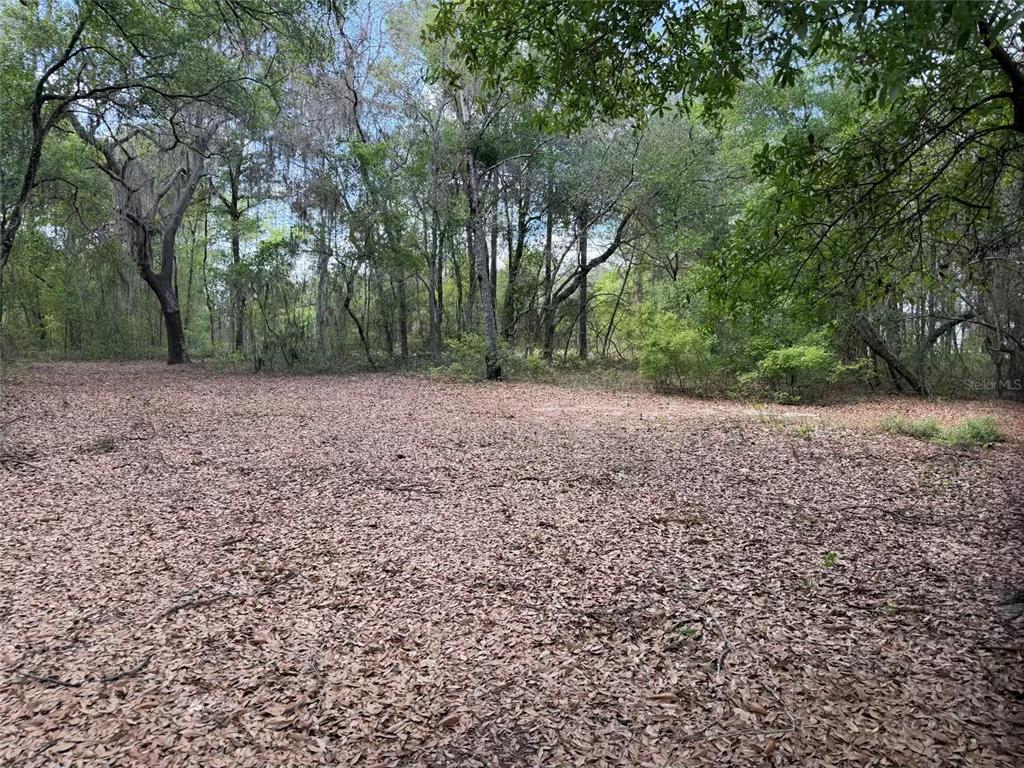 105 Race Street Hawthorne, FL 32640 - Photo 10 of 17