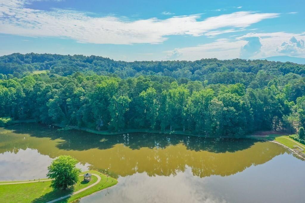 116 Drivers Lane Cohutta, GA 30710 - Photo 48 of 55 highland forest 6