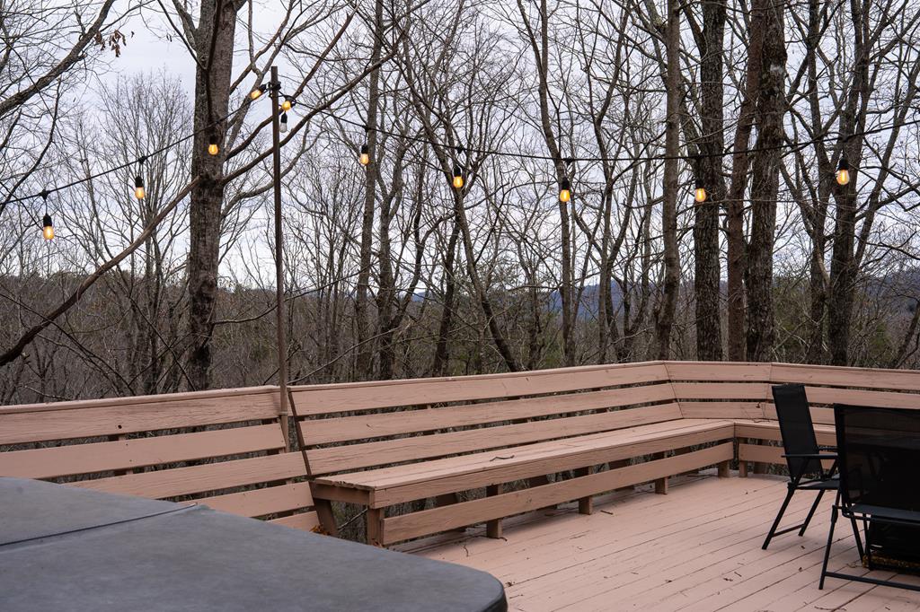 1427 Cherry Lake Drive Blue Ridge, GA 30513 - Photo 84 of 94 Gallery Image 84