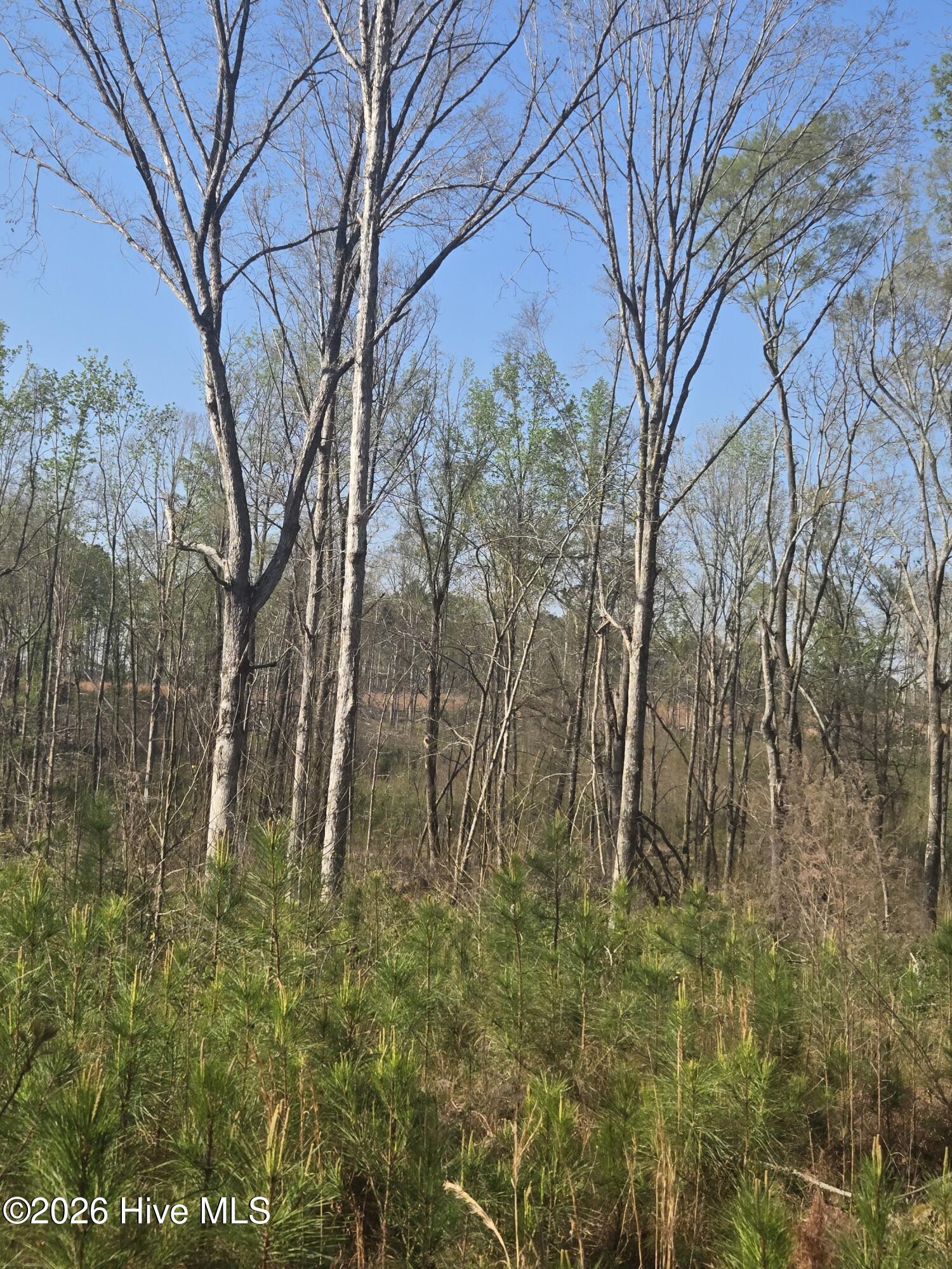 0 Mercier Road Lincolnton, GA 30817 - Photo 4 of 6