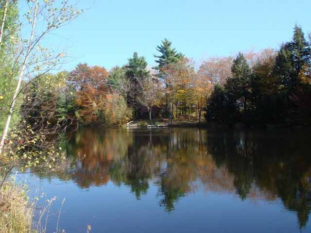 366 Plank Road Greenfield, NY 12859 - Photo 1 of 8 Photo 1