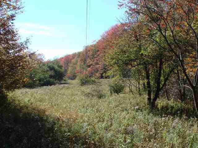 366 Plank Road Greenfield, NY 12859 - Photo 3 of 8 Photo 3