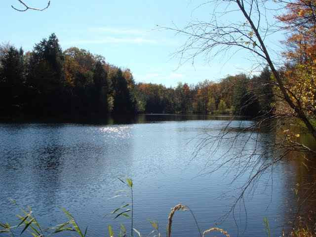 366 Plank Road Greenfield, NY 12859 - Photo 4 of 8 Photo 4