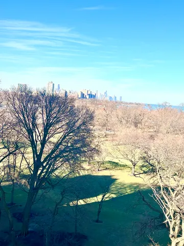 $163,900 | 6701 South Crandon Avenue, Unit 9B, Chicago, IL 60649