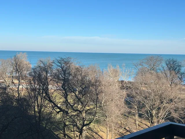 $163,900 | 6701 South Crandon Avenue, Unit 9B, Chicago, IL 60649