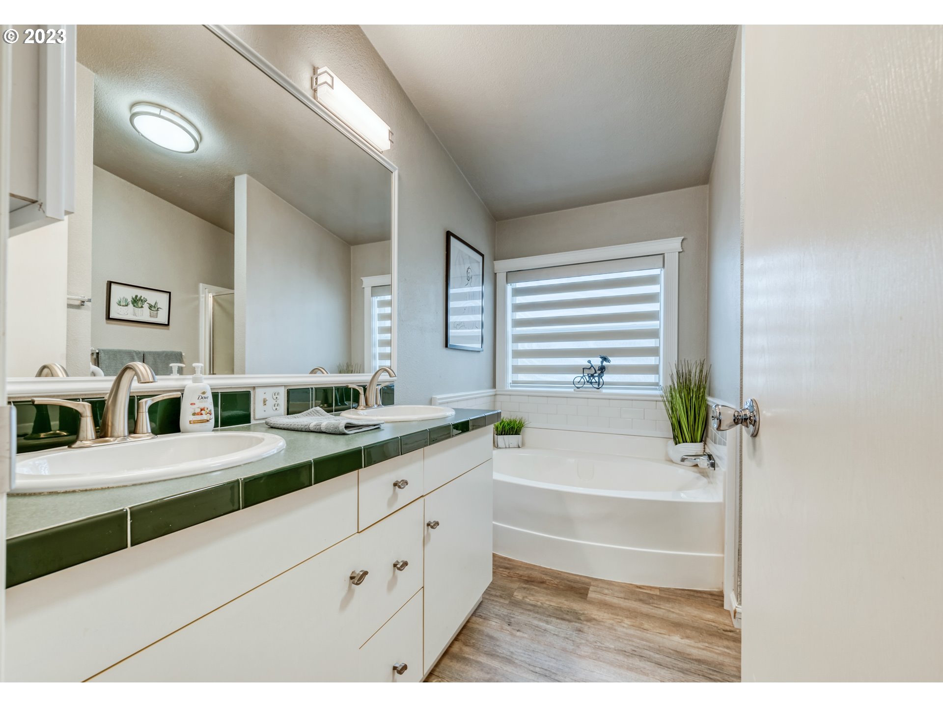 2580 Maia Loop Springfield, OR 97477 - Photo 20 of 29 a bathroom with a granite countertop sink mirror bathtub and next to a window