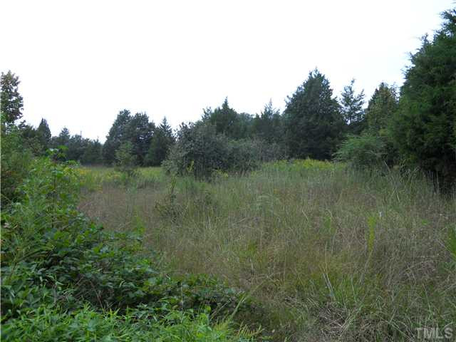 Carr Store Road Cedar Grove, NC 27231 - Photo 3 of 4 Photo 3