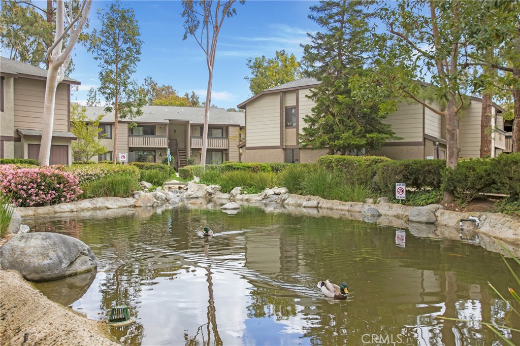 20702 El Toro Road, Unit 379 Lake Forest, CA 92630 - Photo 27 of 45 Friendly ducks & tranquil ponds throughout the grounds
